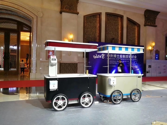 CE Approved Mobile Hand Push Hard Ice Cream Cart Popsicle Cart With Showcase