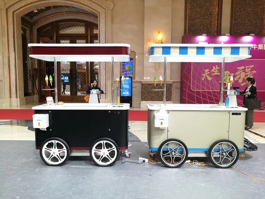 CE Approved Mobile Hand Push Hard Ice Cream Cart Popsicle Cart With Showcase
