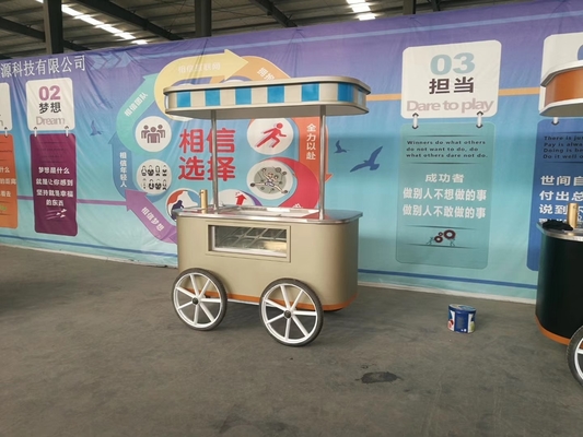 CE Approved Mobile Hand Push Hard Ice Cream Cart Popsicle Cart With Showcase