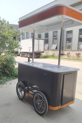 Electric Gelato Push Food Hand Push Cooled Popsicle Beach Freezer Ice Cream Cart