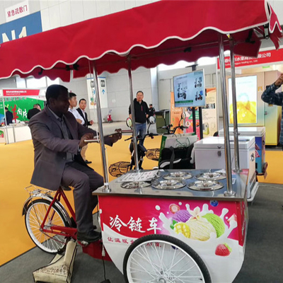 Factory Sale Hand Push Ice Cream Popsicle Cart Food Vending Bicycle
