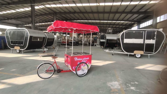 Factory Sale Hand Push Ice Cream Popsicle Cart Food Vending Bicycle
