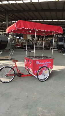 Factory Sale Hand Push Ice Cream Popsicle Cart Food Vending Bicycle