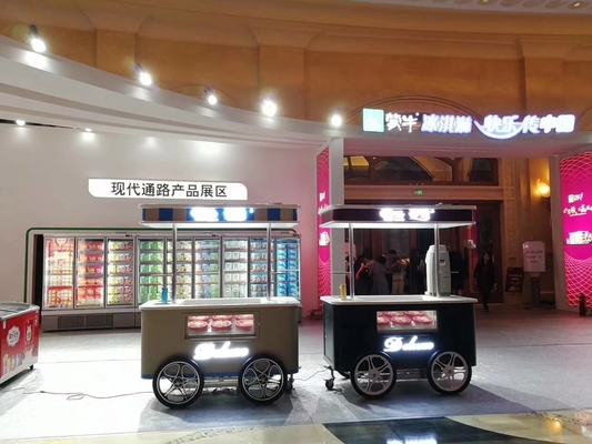 Awning Gelato Cart Mobile Ice Cream Push Cart with Wheels for Sale