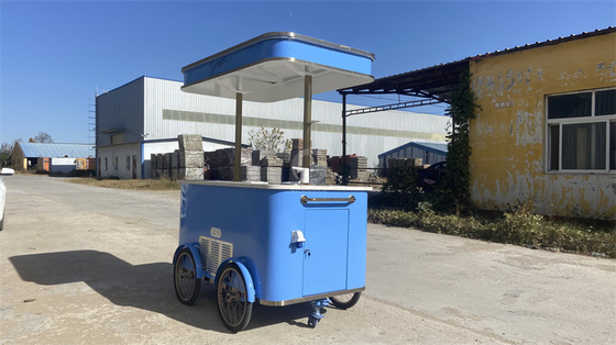 Mobile Gastronomy Unveiled Exploring the World of Tricycle Food Carts