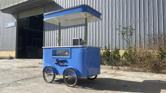 Mobile Gastronomy Unveiled Exploring the World of Tricycle Food Carts