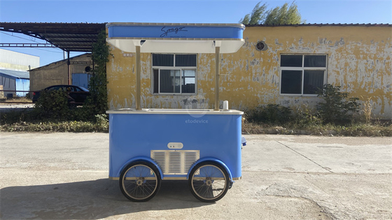 Street Food Revolution: The Charm of Food Tricycle Mobile Carts Revealed