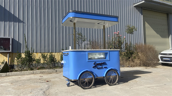 The Roadside Feast: Navigating the Landscape of Food Tricycle Bikes