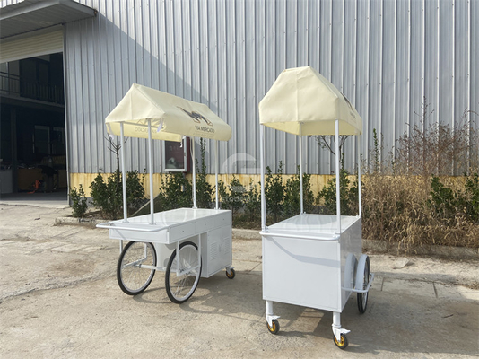 Small Portable Electric cart Cold Plate Push Umbrella Outdoor Mini Wheel Supermarket  Cart