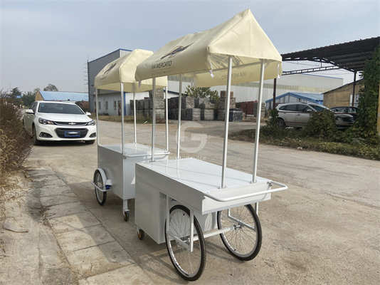 Small Portable Electric cart Cold Plate Push Umbrella Outdoor Mini Wheel Supermarket  Cart