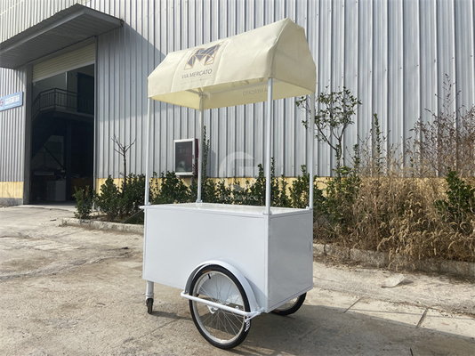 Ice cream cart shop soft frying mini classic bar scooter push cart