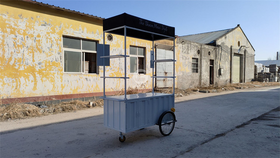Customize color size Ice Cream Push Carts fast food trolley for promotion selling hamburger