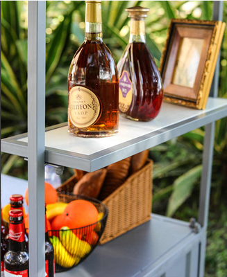 Ice Cream, Hot Food &amp; Beverage Vending Push Cart