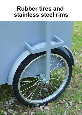 Custom 3 Wheel Cargo Bike Hand Push Cart Street Food Delivery Bike with Display Freezer for sale