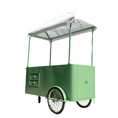Custom 3 Wheel Cargo Bike Hand Push Cart Street Food Delivery Bike with Display Freezer for sale