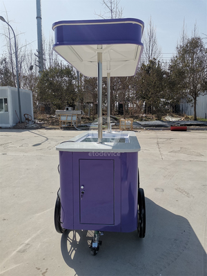 Street Application Gelato Cart Italian Ice Cream Cart With Europe standard