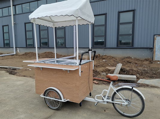 Eco-Friendly Handcrafted Beverage Bike The Sustainable Solution for Mobile Food Vending