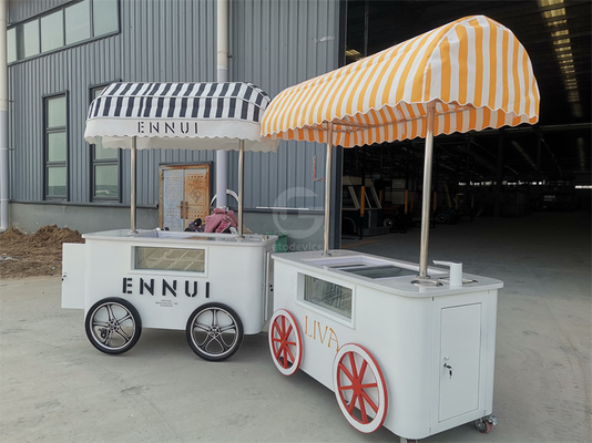 Custom Ice Cream Push Vending Cart With Freezer Mobile Italian Gelato Trolley Cart