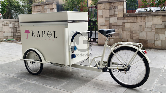 Eco-Friendly Chic Bicycles For Urban Hotel Lobbies 220V/380V