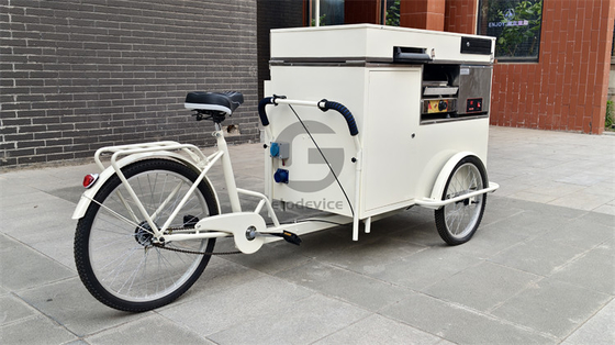 Eco-Friendly Chic Bicycles For Urban Hotel Lobbies 220V/380V