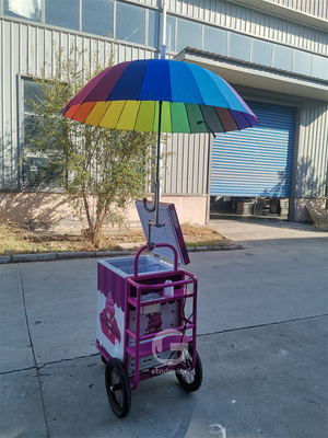 Ice Cream push Cart for Mobile Food Business with 80L freezer