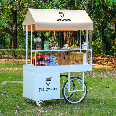 Green Treats on Wheels Chic Ice Cream Bicycle Cart for Urban Excursions