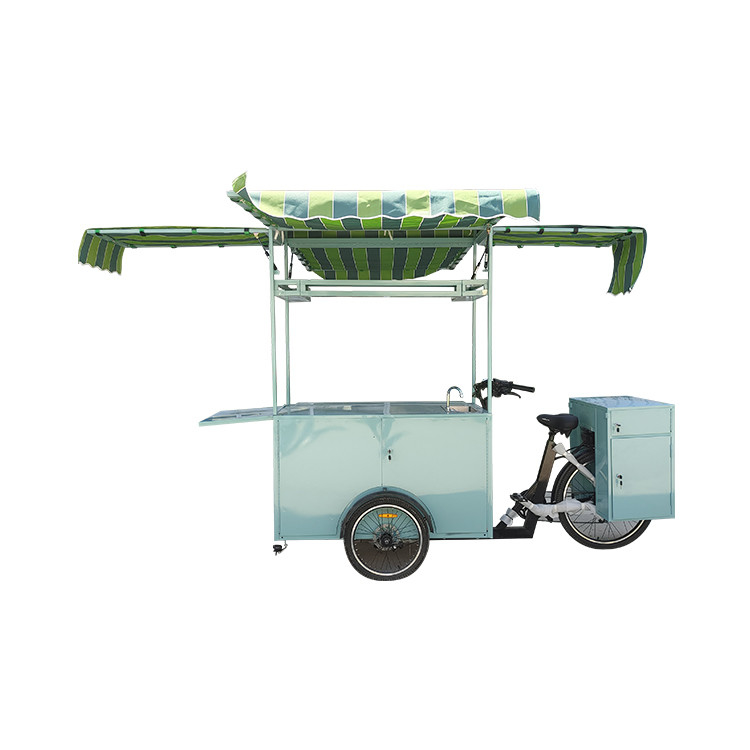 Full Kitchen Electric Food Ice Cream Truck Tricycle for Cargo Your Perfect Choice