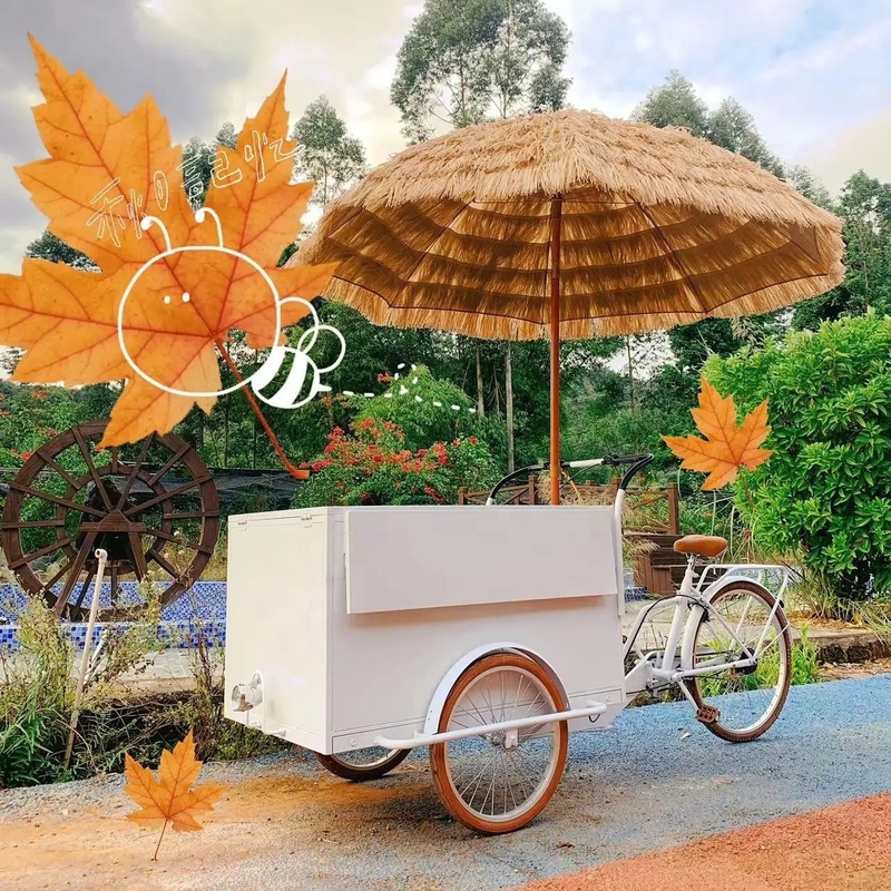 Mobile Food Bike Carts Bicycle Nuts Snack Food Cart with and Mobile Hot Dog Cart