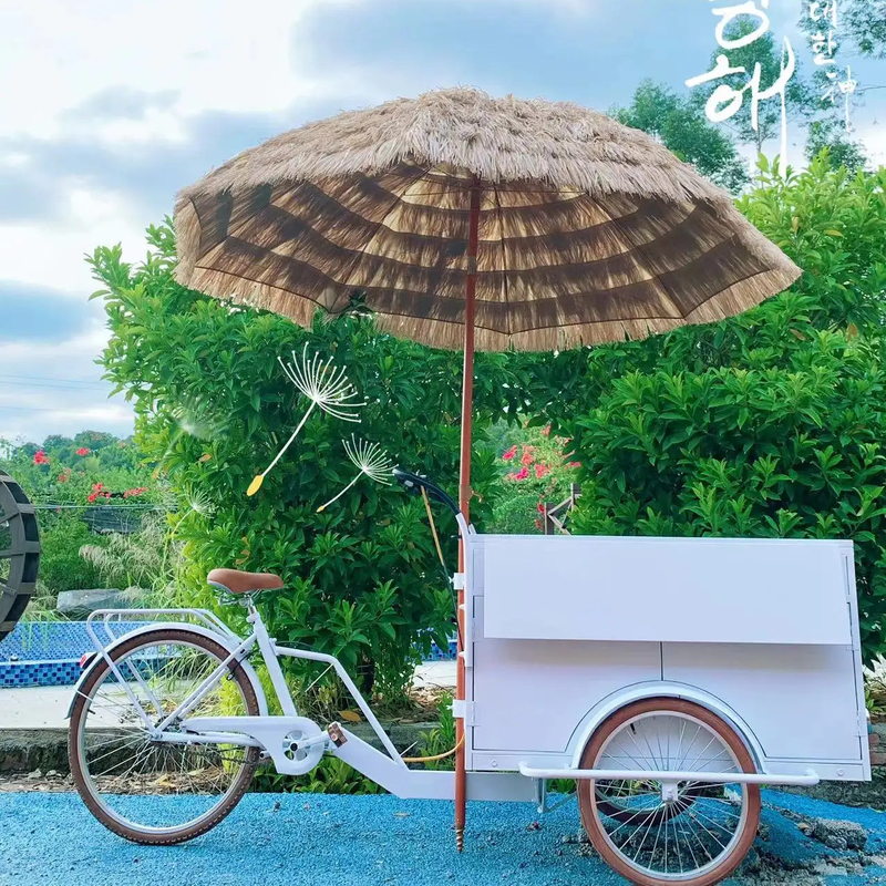 100kg Retro Coffee Bike for Street Mobile Coffee Trike Shop Bicycle Fast Food Cart Bike
