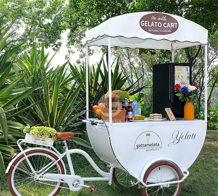 Outdoor 3 Wheels Coffee Kiosk Food Cart Ice Cream Cargo Juice Coffee Cart Bike Kiosk