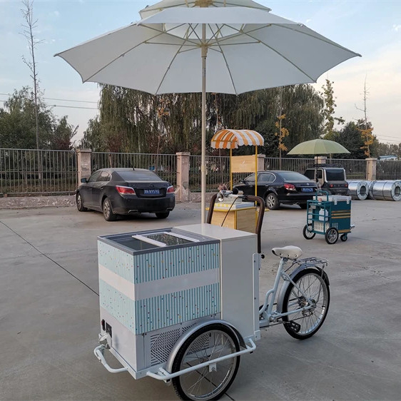 100kg Classic Ice Cream Bike Fast Food Trailer Truck Tricycle for Seasoning Plant