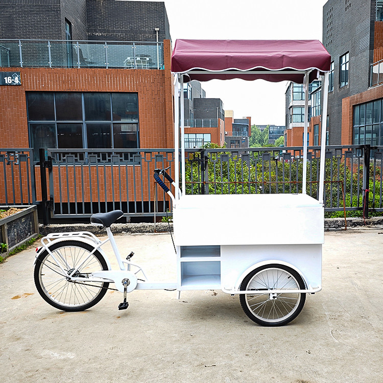 Outdoor Mobile Fast Food Tricycle with Cold Drink Freezer and Video Technical Support
