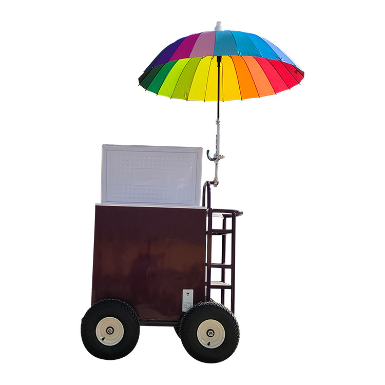 220v/110v Mobile Cart for Ice Cream Concession Refrigerator Freezer in Seasoning Plant
