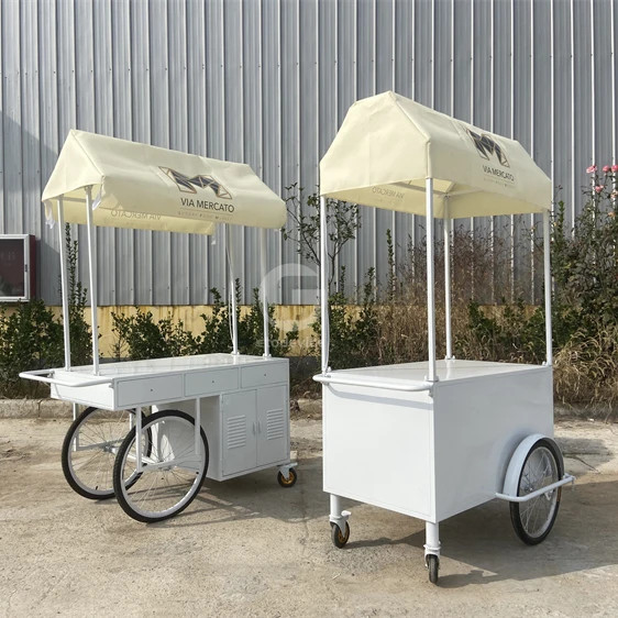 Small Portable Electric cart Cold Plate Push Umbrella Outdoor Mini Wheel Supermarket  Cart