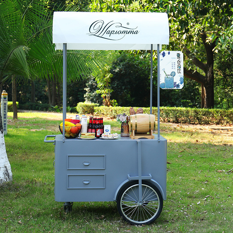 Cheap price Food Concession Stand Street mobile hand push vending cart with storage awning